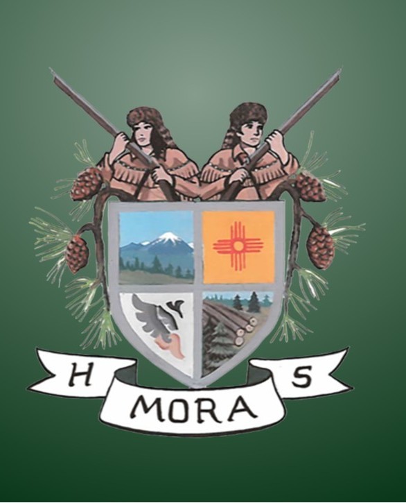 Mora HS Logo2